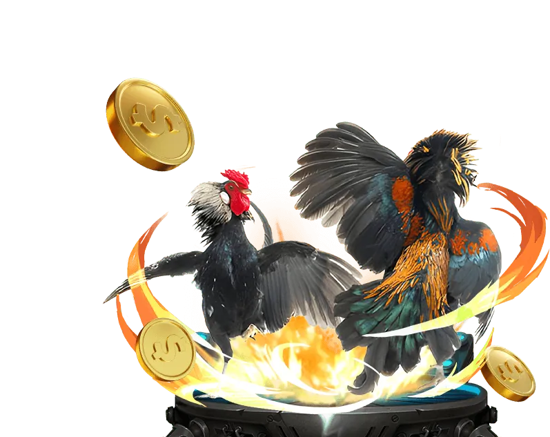 Cá cược thể thao onbet casino